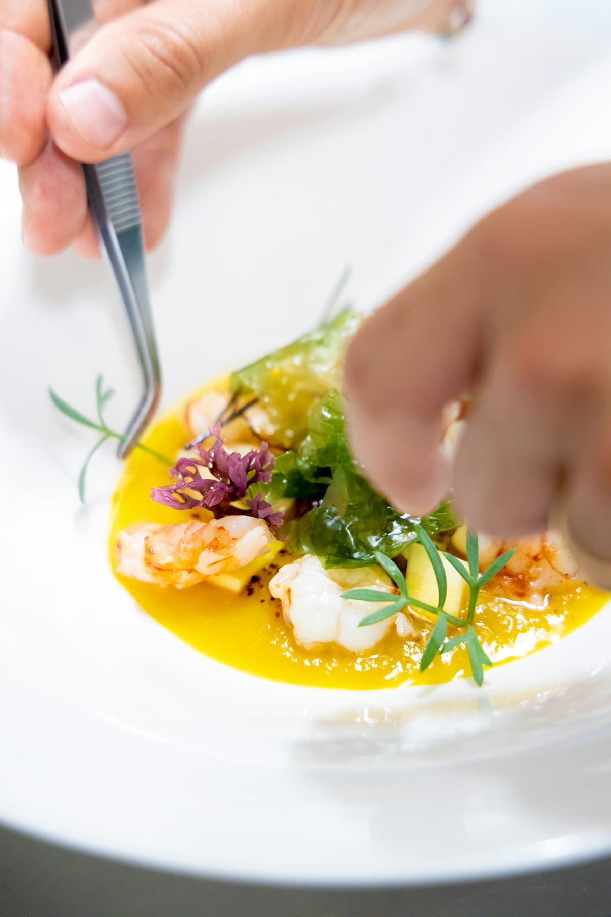 A precisely plated fine-dining dish photographed with minimalist low-key lighting
